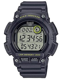 CASIO Collection WS-2100H-8AVD