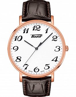 Tissot Everytime Large T1096103601201